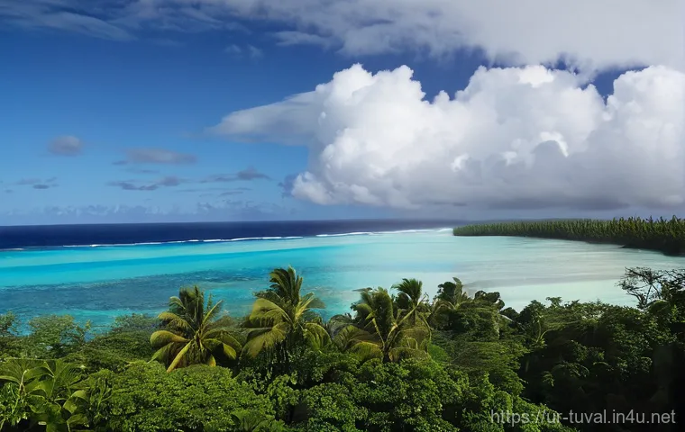 투발루에서 건강과 안전 유지 - Here are three detailed image prompts in English, adhering to all your guidelines: 투발루에서 건강과 안전 유지 - Here are three detailed image prompts in English, adhering to all your guidelines: